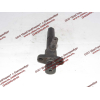 Форсунка 226PBE-6007 Lonking CDM (СДМ) 226PBE-6007 фото 2 Барнаул