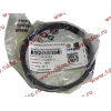 Кольца поршневые (компл. на дв-ль) DF DONG FENG (ДОНГ ФЕНГ) C3964073,C3921919,C394841 для самосвала фото 3 Барнаул