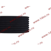 Ремень 8PK1725 DF/C CREATEK CREATEK C3911620/CK8041 фото 3 Барнаул